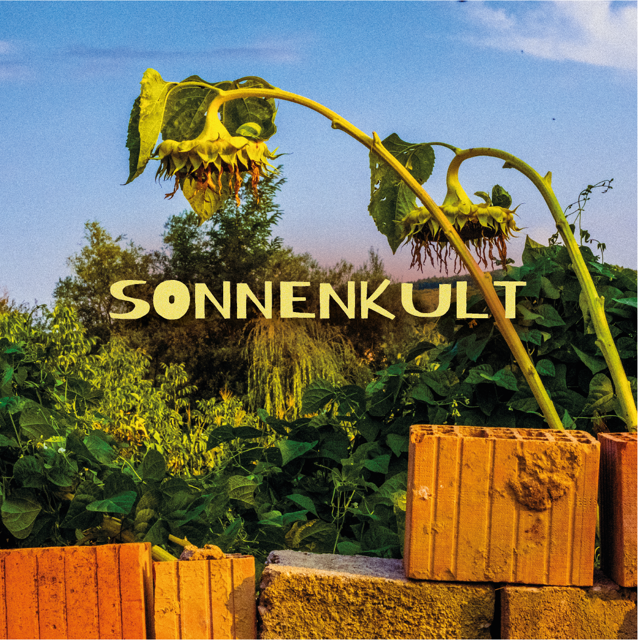 Sonnenkult